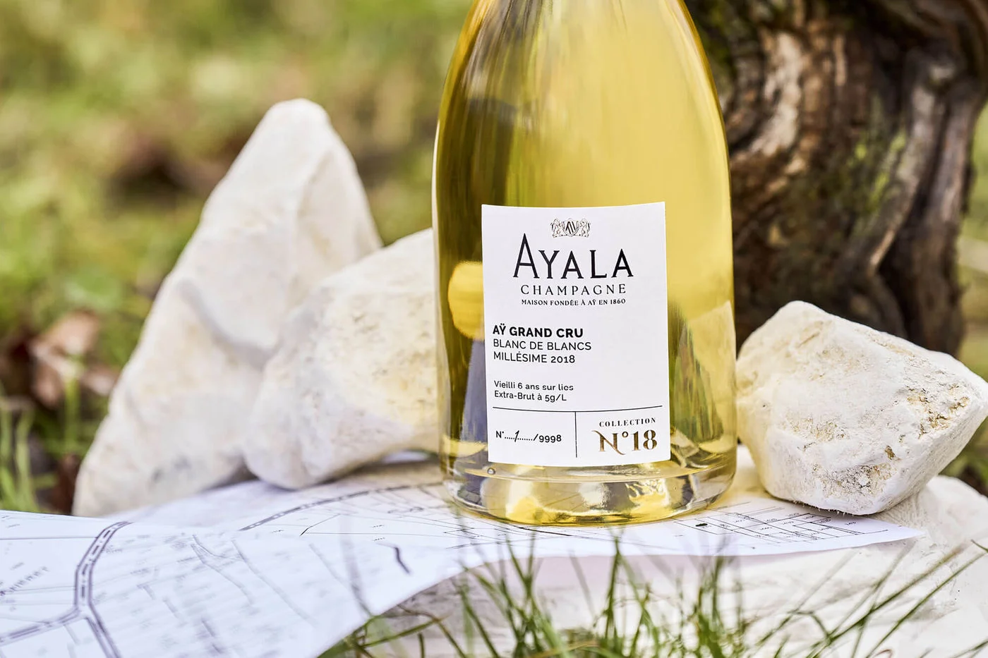 AYALA Collection N°18 champagne a Cocheret parcella krétás köveivel és térképével